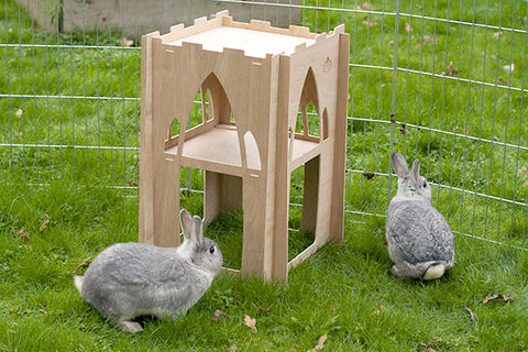 Hoppy Hampton Bunny Castles