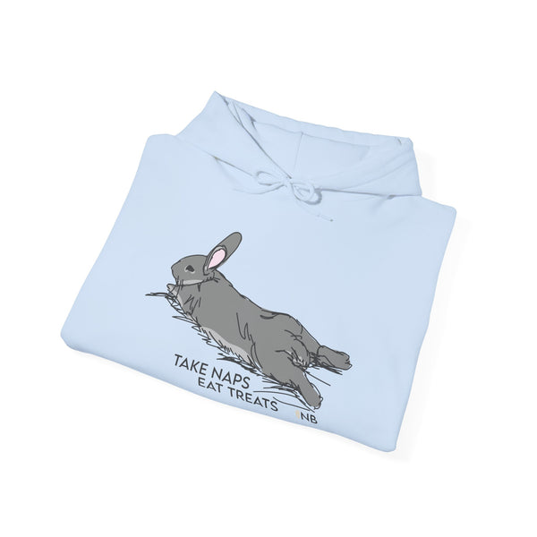 Take Naps Eat Treats Unisex Hoodie