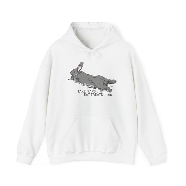 Take Naps Eat Treats Unisex Hoodie