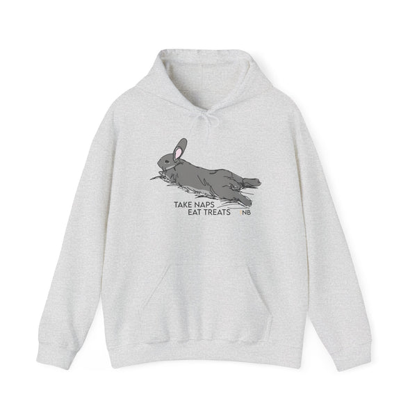 Take Naps Eat Treats Unisex Hoodie