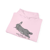 Take Naps Eat Treats Unisex Hoodie