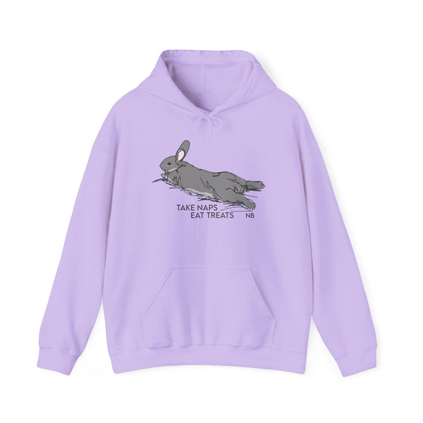 Take Naps Eat Treats Unisex Hoodie