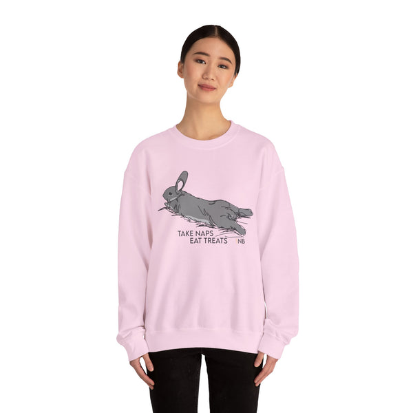Take Naps Eat Treats Unisex Sweatshirt