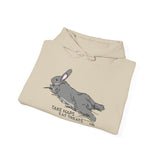 Take Naps Eat Treats Unisex Hoodie