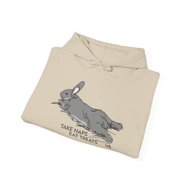 Take Naps Eat Treats Unisex Hoodie