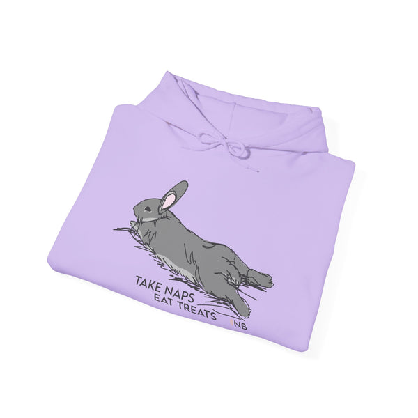 Take Naps Eat Treats Unisex Hoodie