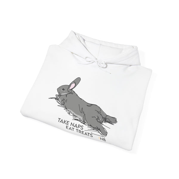 Take Naps Eat Treats Unisex Hoodie