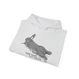Take Naps Eat Treats Unisex Hoodie