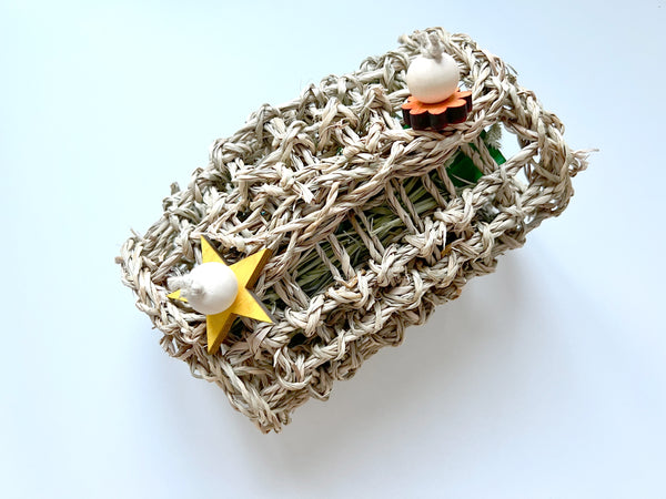 Seagrass Surprise Foraging Toy