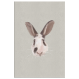 Emmett Canvas