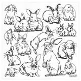 Bunderful Buns Fabric Gift Wrap
