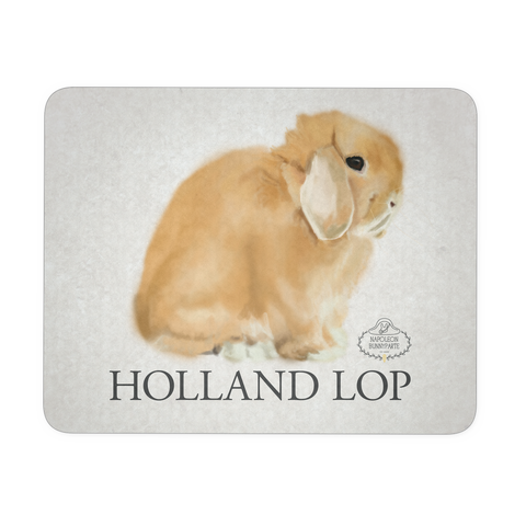 Holland Lop Mousepad