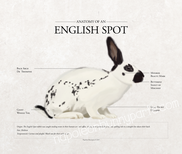 English Spot Poster