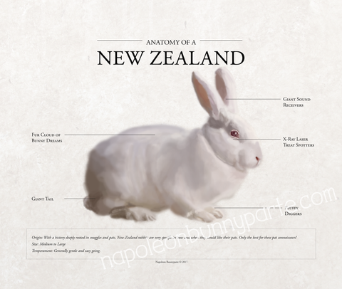 New Zealand Poster