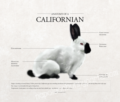 Californian Canvas Wall Art (16 x 20)