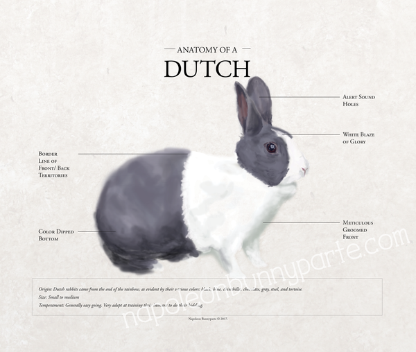Dutch Poster