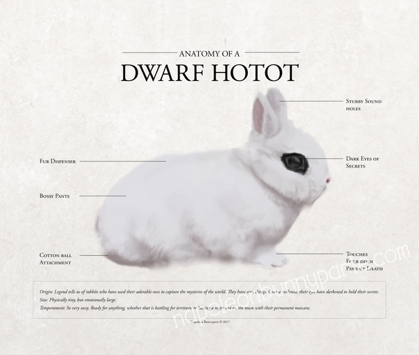 Hotot Canvas Wall Art (16 x 20)