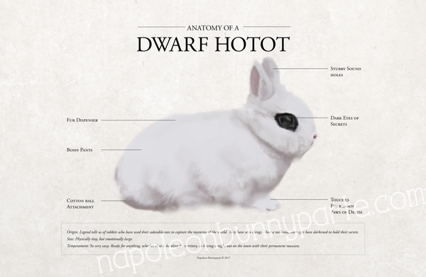 Hotot Poster