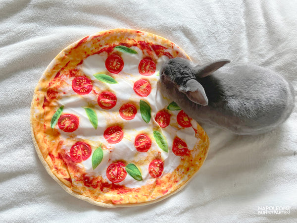 Pizza My Heart Pet Bed