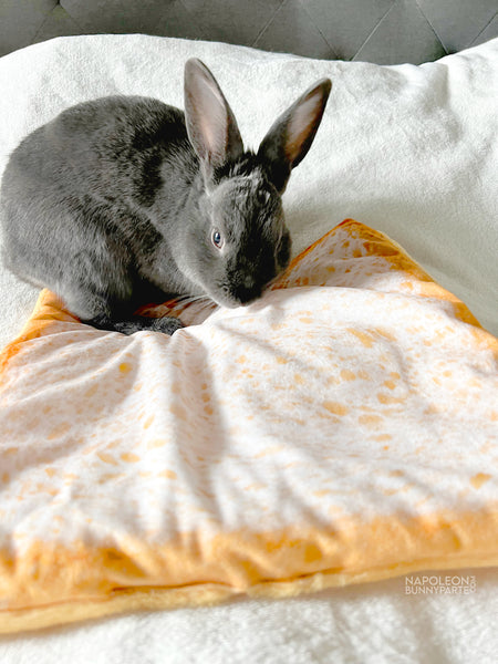 All You Knead Is Loaf Pet Bed