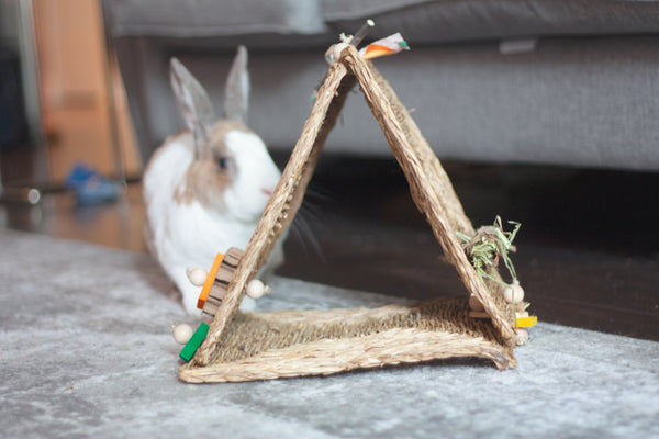 Bunnel Of Love