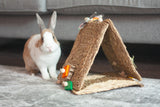 Bunnel Of Love