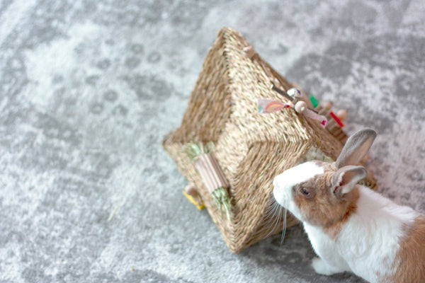 Bunnel Of Love