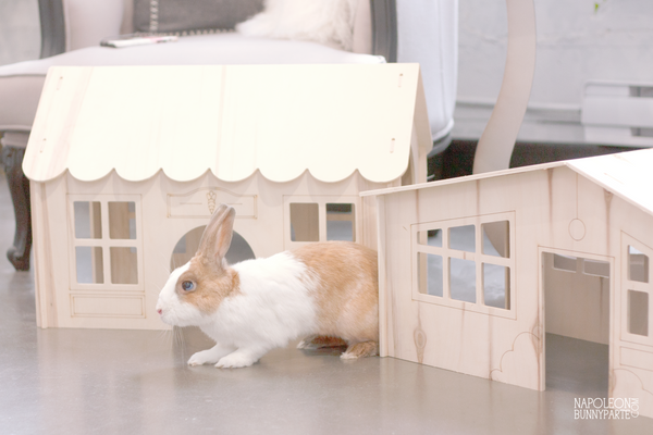 Bunny I'm Home Vintage Bungalow