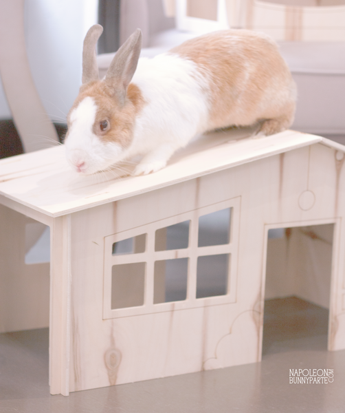 Bunny I'm Home Vintage Bungalow