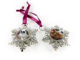 Go With The Snow Ornament