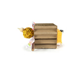 Bundora's Box