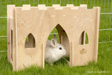 Hoppy Hampton Bunny Castle Bridge