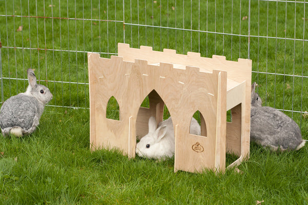 Hoppy Hampton Bunny Castle Bridge