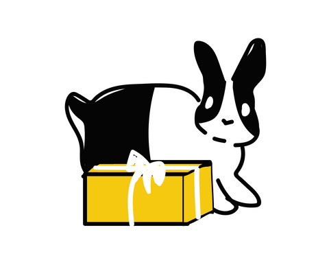 Holiday Toy Bundle For Rescues