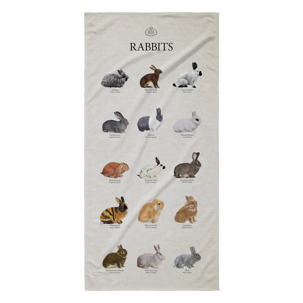 Rabbits Beach Towel