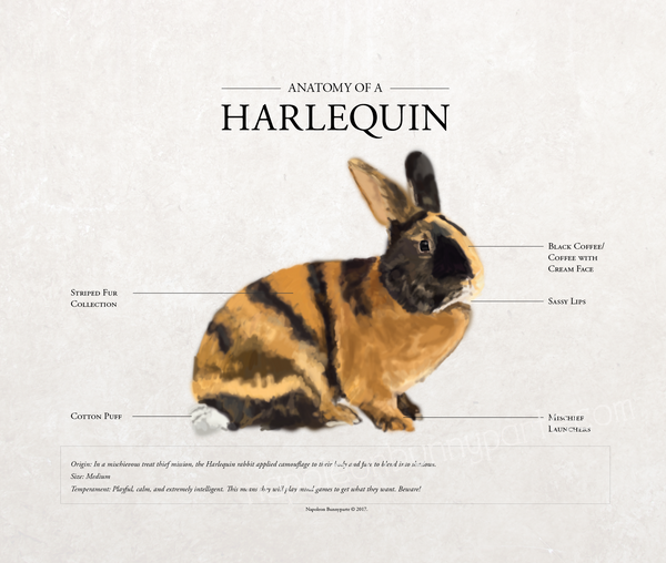 Harlequin Poster